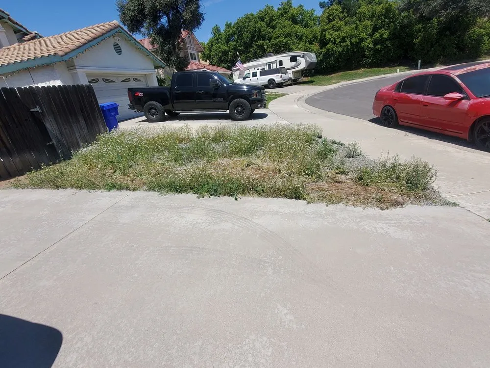 Reliable garden landscaping for year-round maintenance across Fontana, CA - Ortiz Lawn Service