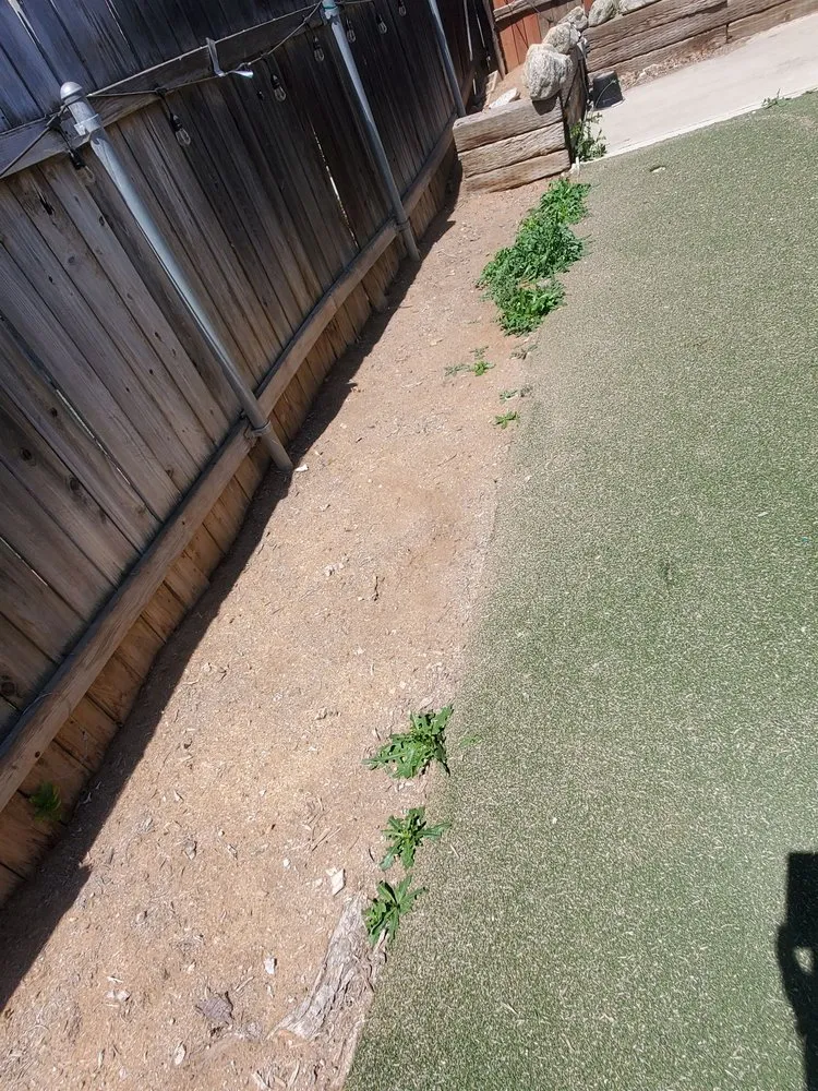 Custom landscape design for outdoor upgrades across Fontana, CA - Ortiz Lawn Service