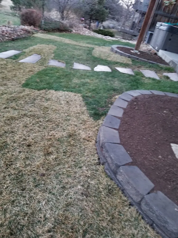 Custom landscape design for outdoor upgrades across Longmont, CO - Ortiz Lawn Services