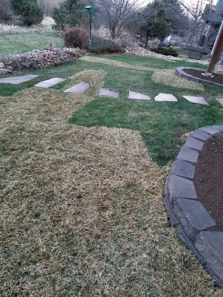 Trusted residential landscaping experts serving Longmont, CO - Ortiz Lawn Services