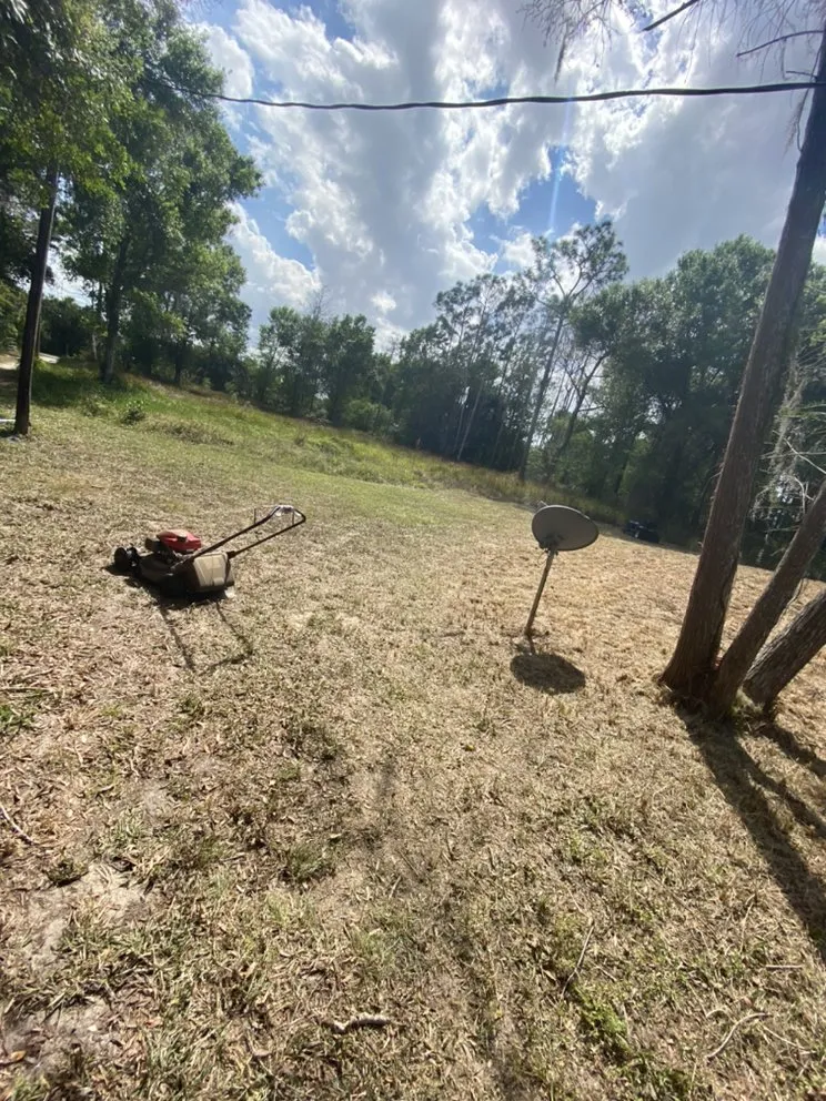 Professional yard cleanup service in Immokalee, FL - Ortiz Martinez's Landscaping