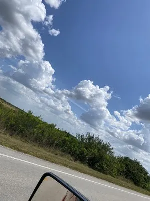 Ortiz Martinez's Landscaping Logo