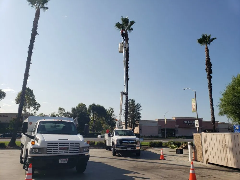 Professional landscape installation experts serving Santa Ana, CA - Ortiz ProServices