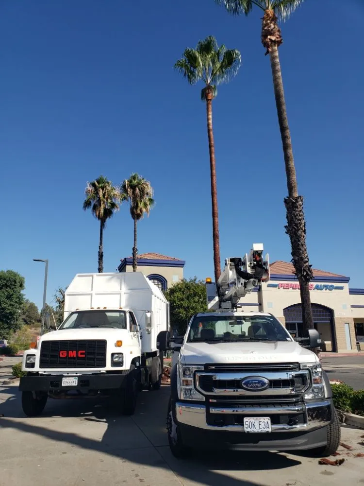 Custom lawn mowing service in Santa Ana, CA by Ortiz ProServices