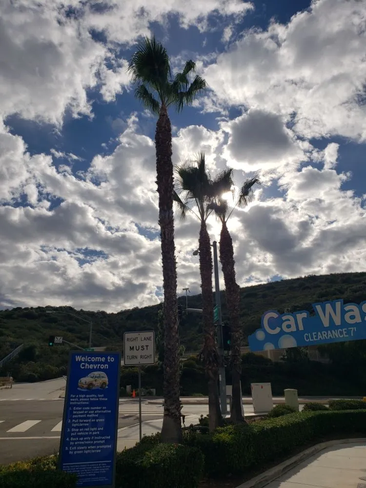 Affordable residential landscaping in Santa Ana, CA by Ortiz ProServices