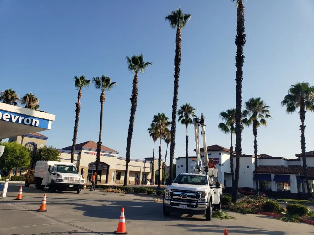 Affordable lawn mowing service in Santa Ana, CA by Ortiz ProServices