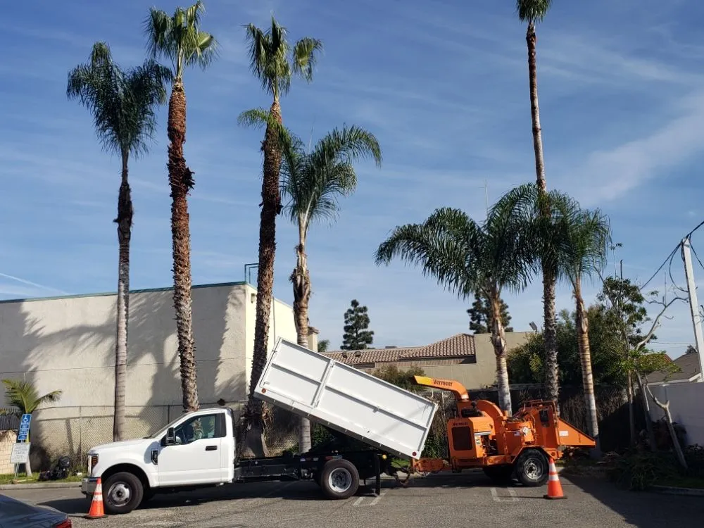 Professional lawn mowing service for year-round maintenance across Santa Ana, CA - Ortiz ProServices