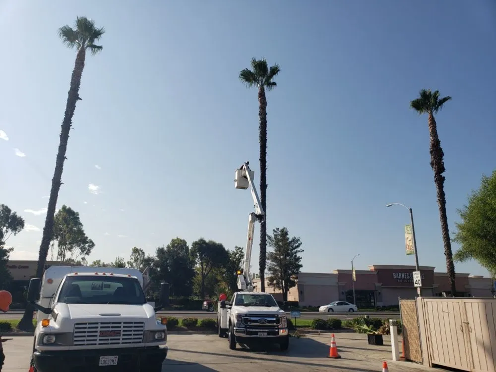 Custom garden landscaping for homes in Santa Ana, CA by Ortiz ProServices