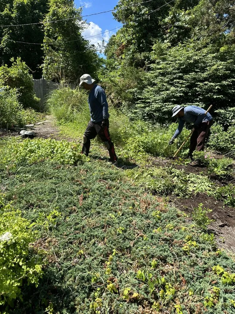 Custom residential landscaping in East Harwich, MA by Ortiz RD Landscape Construction