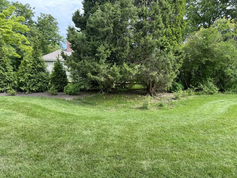 Expert lawn care service in East Harwich, MA - Ortiz RD Landscape Construction