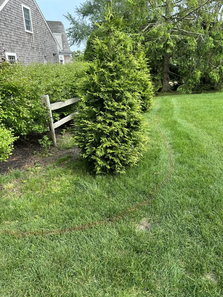 Top-rated lawn mowing service for year-round maintenance across East Harwich, MA - Ortiz RD Landscape Construction