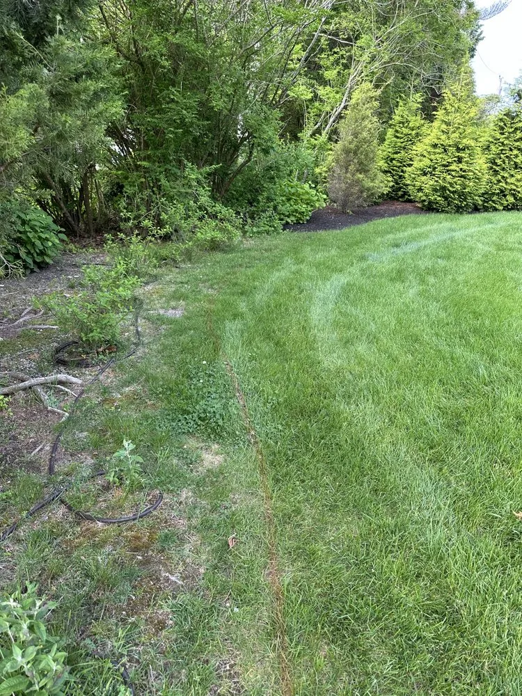 Affordable outdoor landscaping in East Harwich, MA - Ortiz RD Landscape Construction