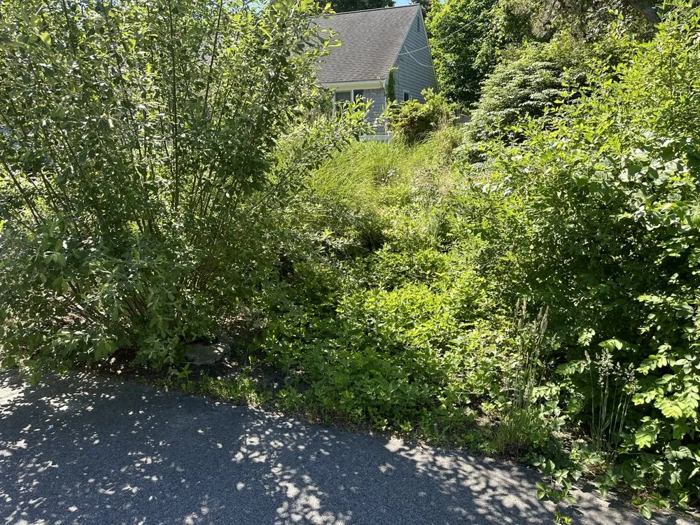 Top-rated outdoor landscaping in East Harwich, MA by Ortiz RD Landscape Construction