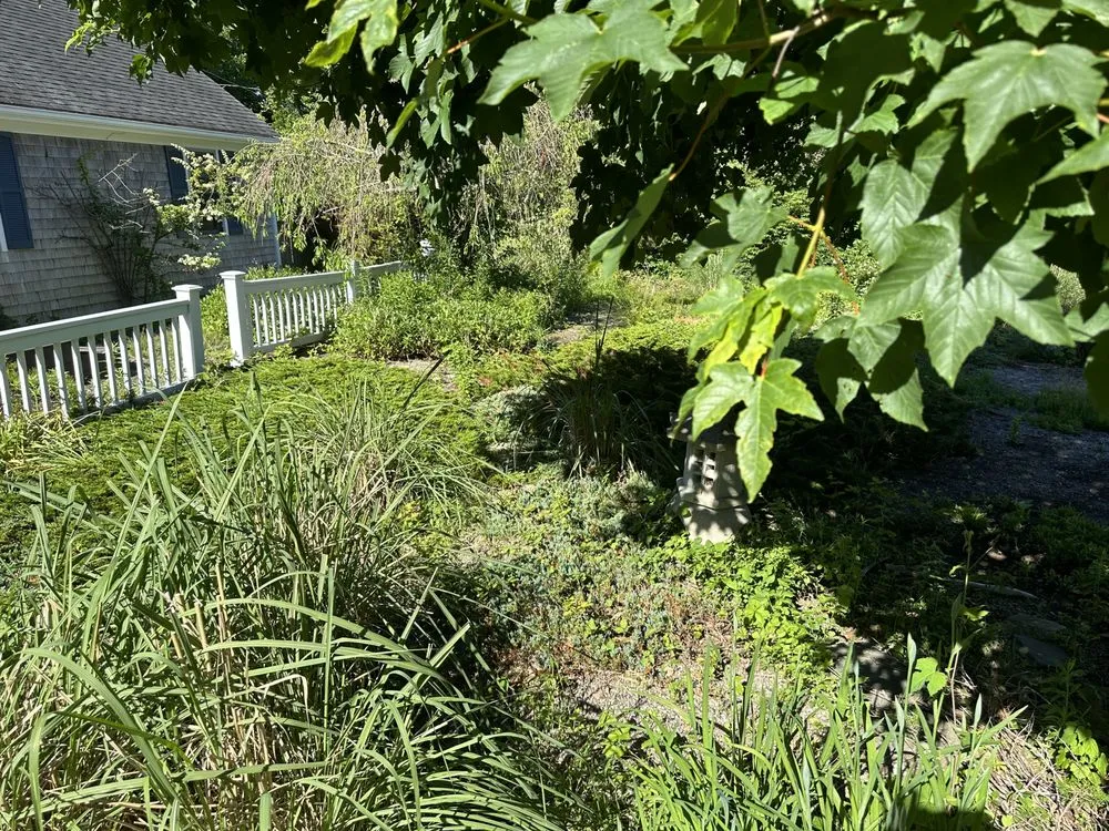 Trusted landscaping services in East Harwich, MA by Ortiz RD Landscape Construction