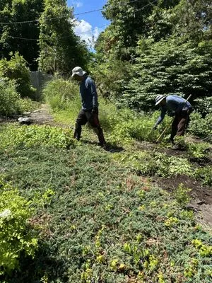 Ortiz RD Landscape Construction