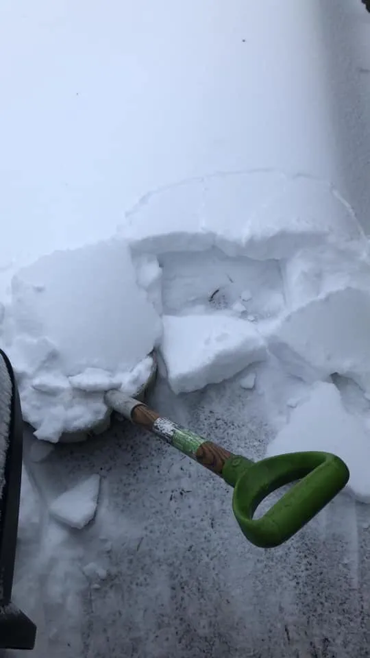 Expert lawn care service for beautiful yards in Lawrence, MA by Ortiz Rodas Landscaping