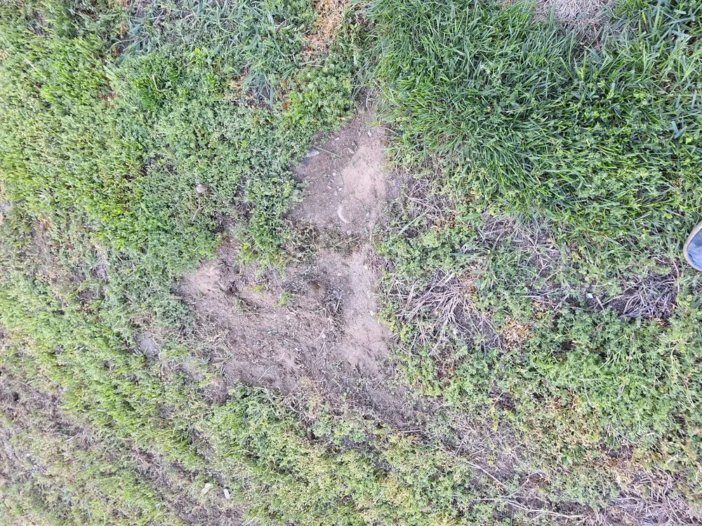 Expert lawn care service for year-round maintenance across Lawrence, MA - Ortiz Rodas Landscaping