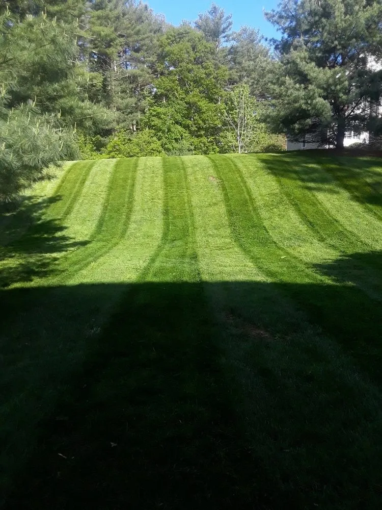 Custom landscaping services for outdoor upgrades in Lawrence, MA by Ortiz Rodas Landscaping