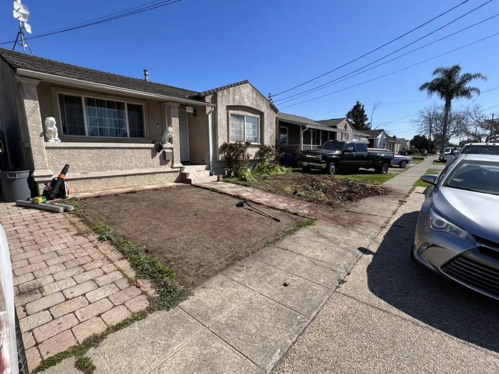 Top-rated yard maintenance in San Jose, CA - Ortiz Tree service & landscape