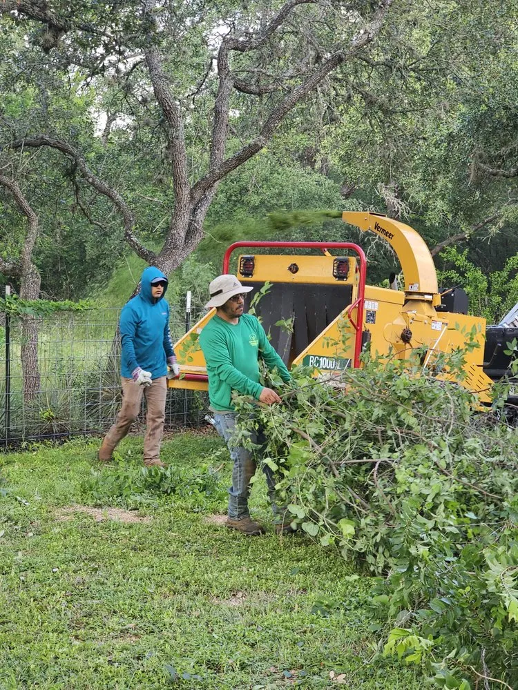 Professional lawn care service for outdoor upgrades across San Antonio, TX - Ortiz Tree Service