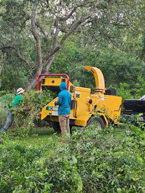 Reliable yard cleanup service for outdoor upgrades across San Antonio, TX - Ortiz Tree Service