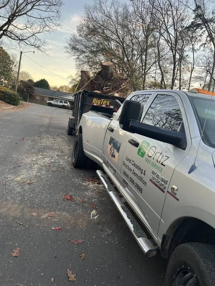 Trusted garden landscaping for year-round maintenance across Taylors, SC - Ortiz Tree Service