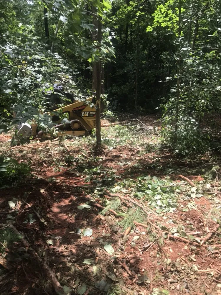 Professional landscape installation in Taylors, SC - Ortiz Tree Service