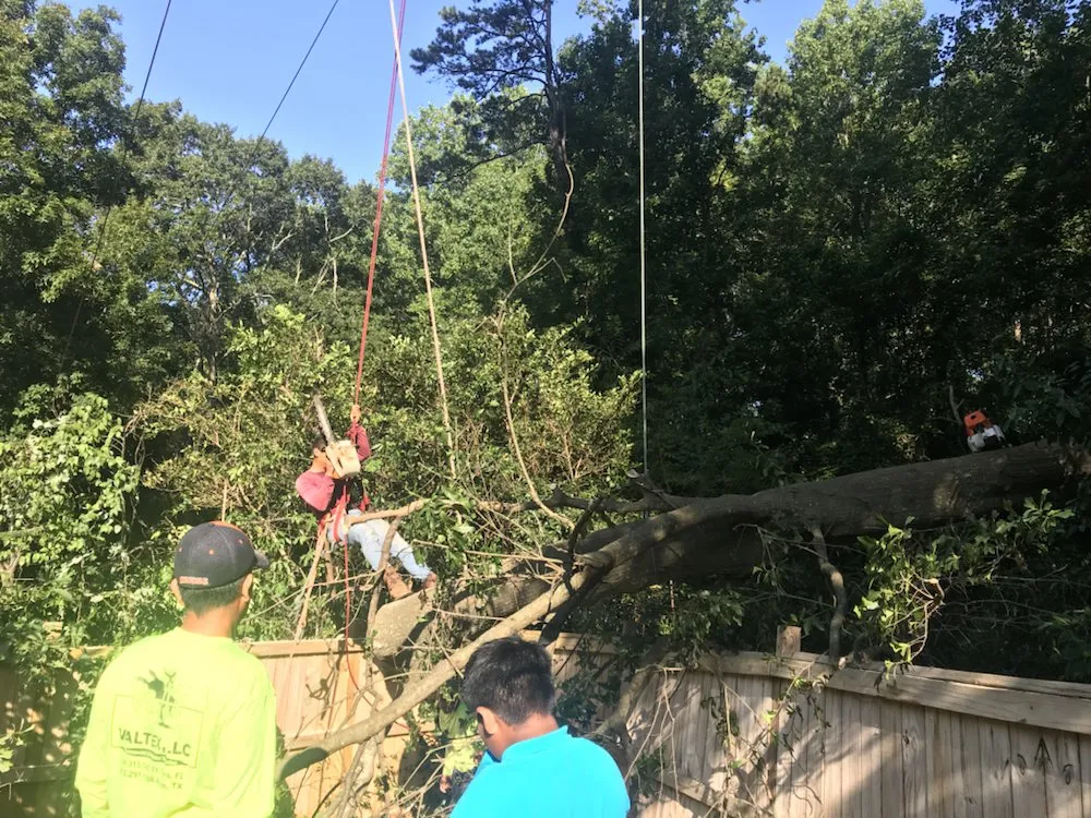 Top-rated outdoor landscaping with custom design across Taylors, SC - Ortiz Tree Service