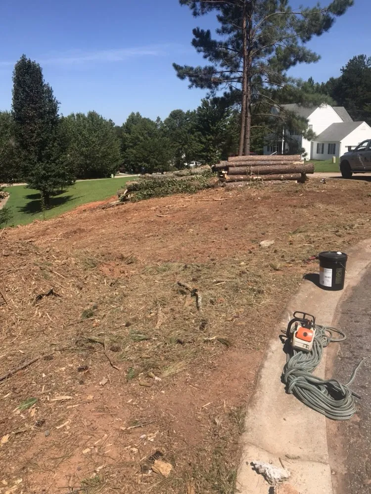 Local yard cleanup service experts serving Taylors, SC - Ortiz Tree Service