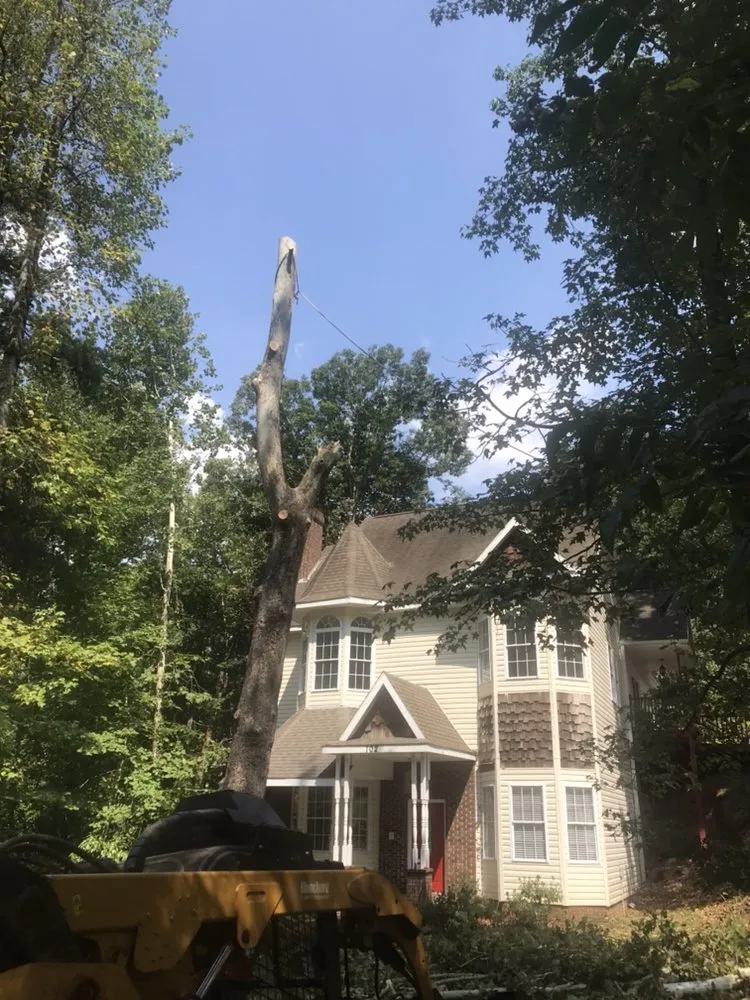 Affordable garden landscaping for residential properties in Taylors, SC by Ortiz Tree Service