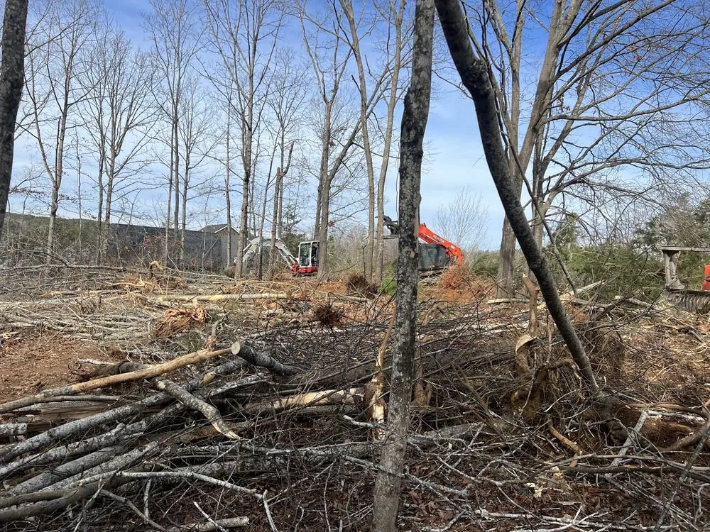 Reliable residential landscaping near you in Taylors, SC by Ortiz Tree Service