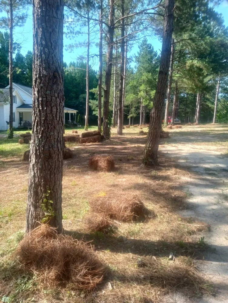 Reliable garden landscaping for homes across Vass, NC - Ortiz's Landscaping Services & More