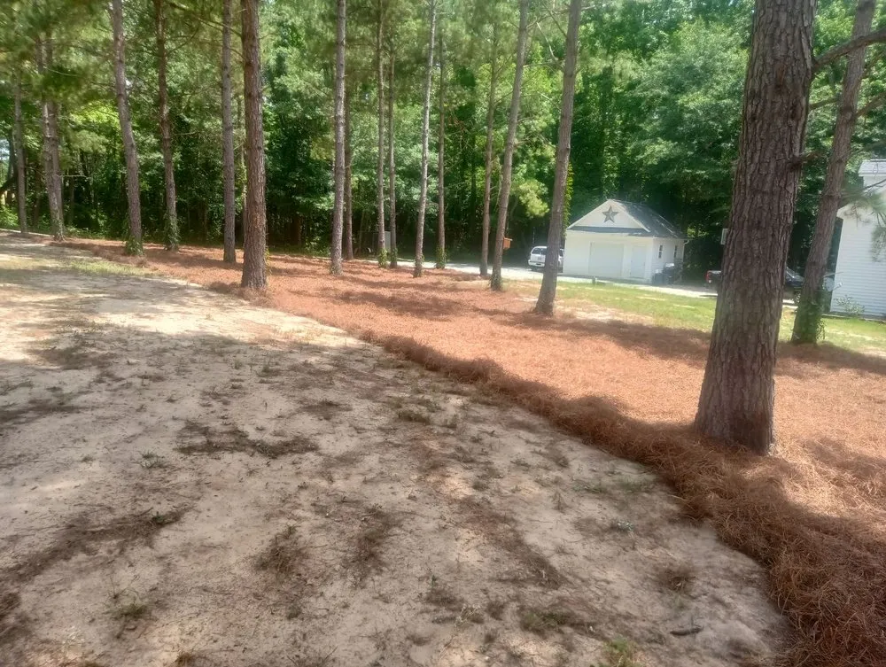 Top-rated landscaping services for outdoor upgrades in Vass, NC by Ortiz's Landscaping Services & More