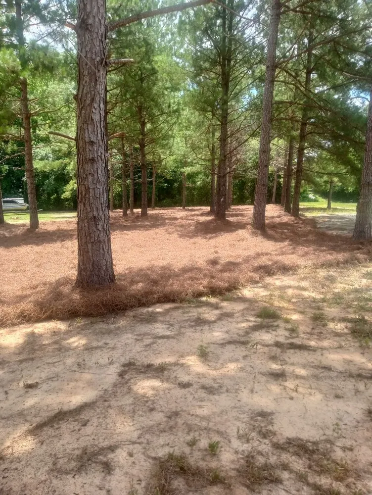 Expert lawn mowing service in Vass, NC - Ortiz's Landscaping Services & More