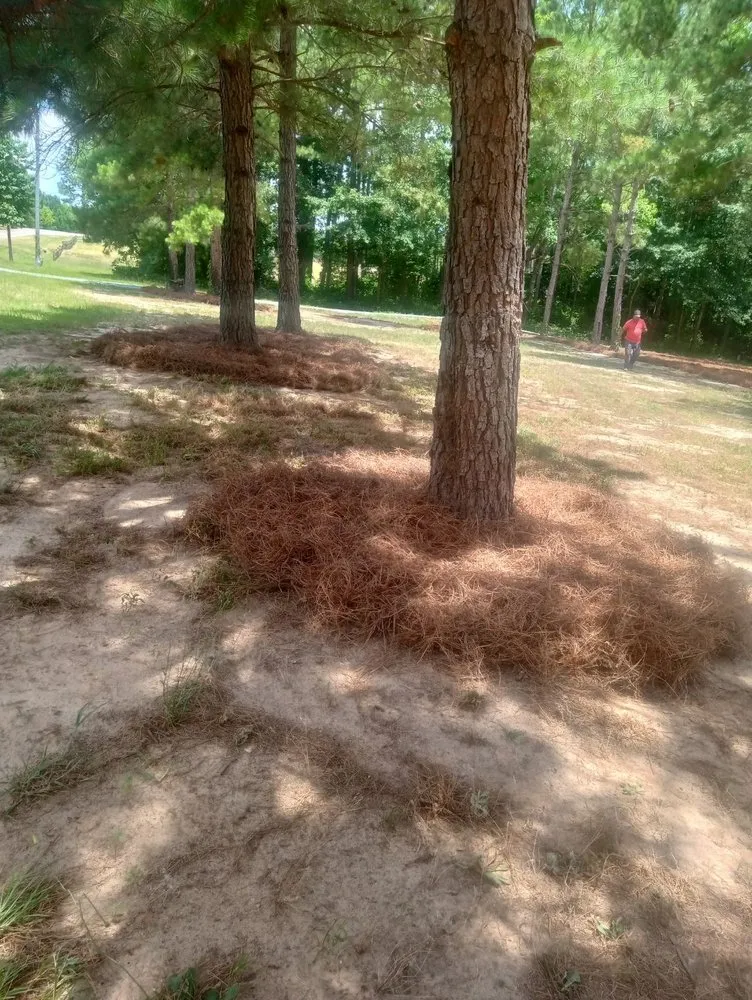 Custom lawn mowing service for year-round maintenance across Vass, NC - Ortiz's Landscaping Services & More