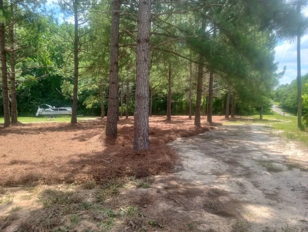 Affordable landscape installation experts serving Vass, NC - Ortiz's Landscaping Services & More