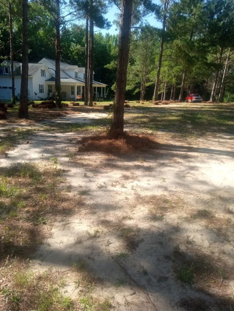 Reliable yard maintenance in Vass, NC by Ortiz's Landscaping Services & More