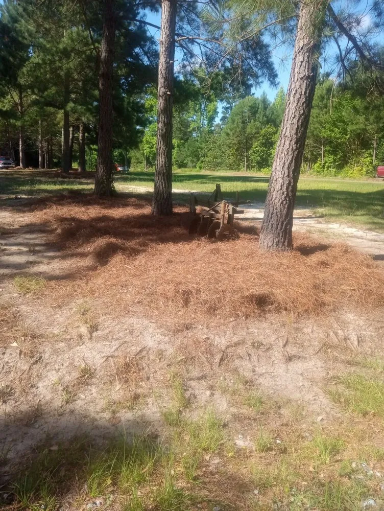 Local outdoor landscaping with custom design across Vass, NC - Ortiz's Landscaping Services & More