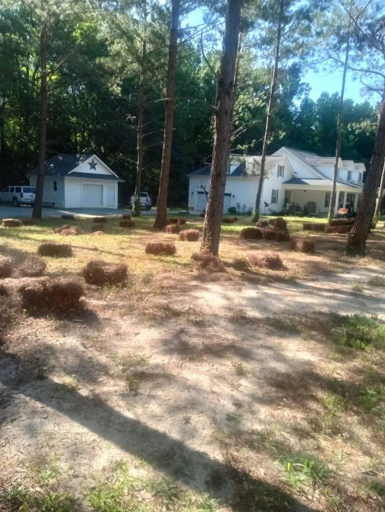 Custom lawn mowing service in Vass, NC - Ortiz's Landscaping Services & More