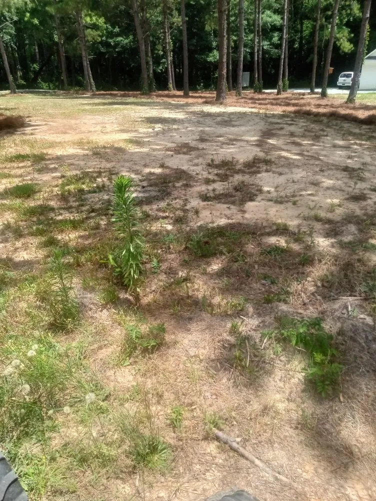 Top-rated lawn care service for outdoor upgrades across Vass, NC - Ortiz's Landscaping Services & More