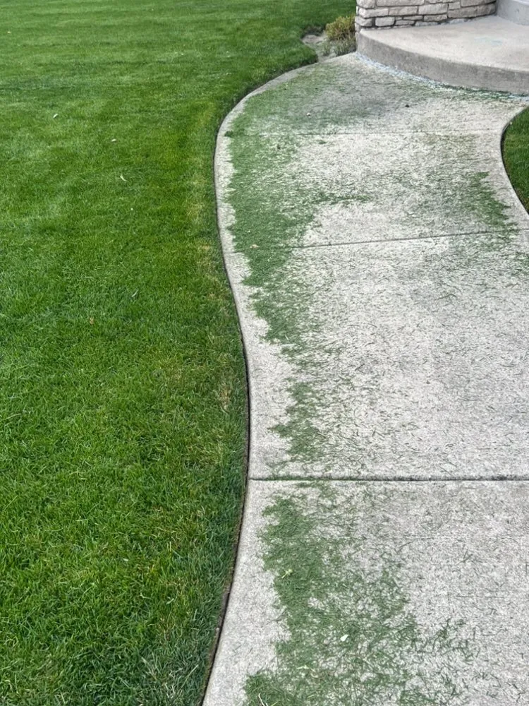 Local lawn care service for outdoor upgrades in Des Plaines, IL by Ortiz’s Lawn care Services