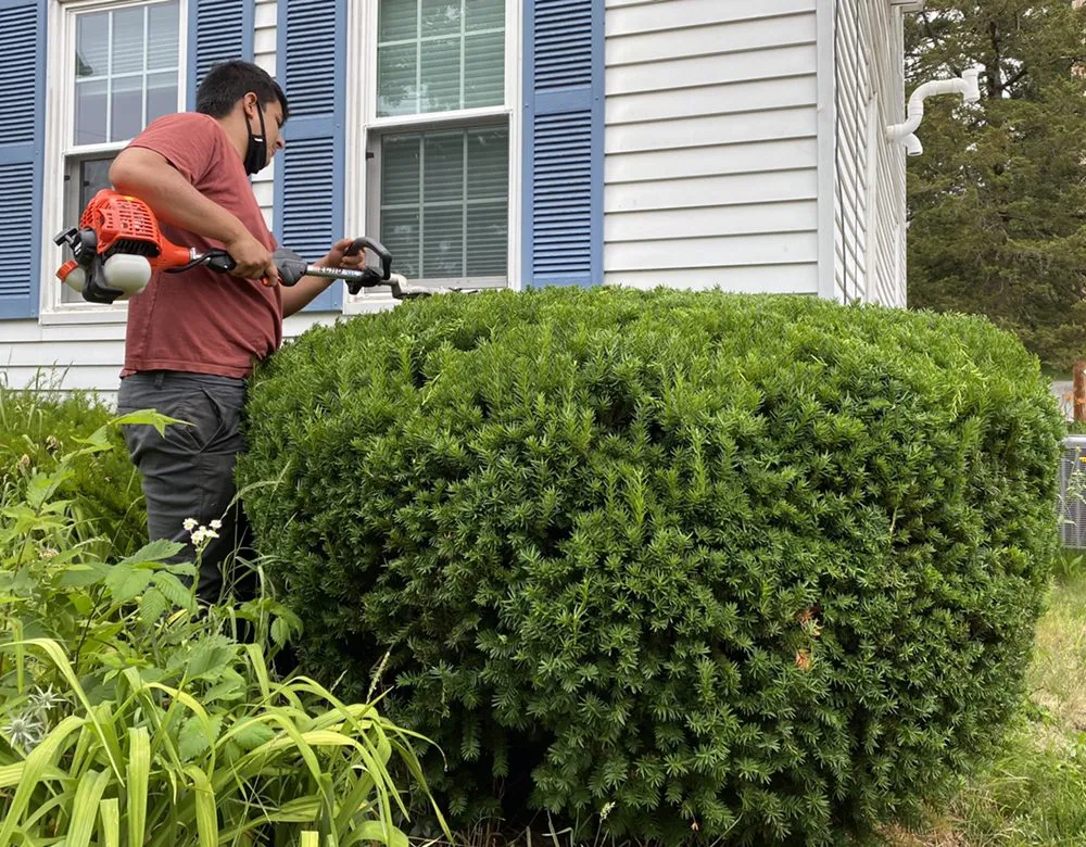 Custom garden landscaping in Worcester, MA by ORV Landscaping