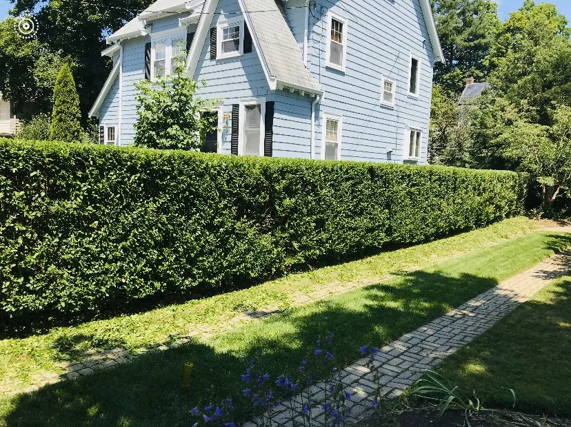 Top-rated yard cleanup service in Worcester, MA - ORV Landscaping