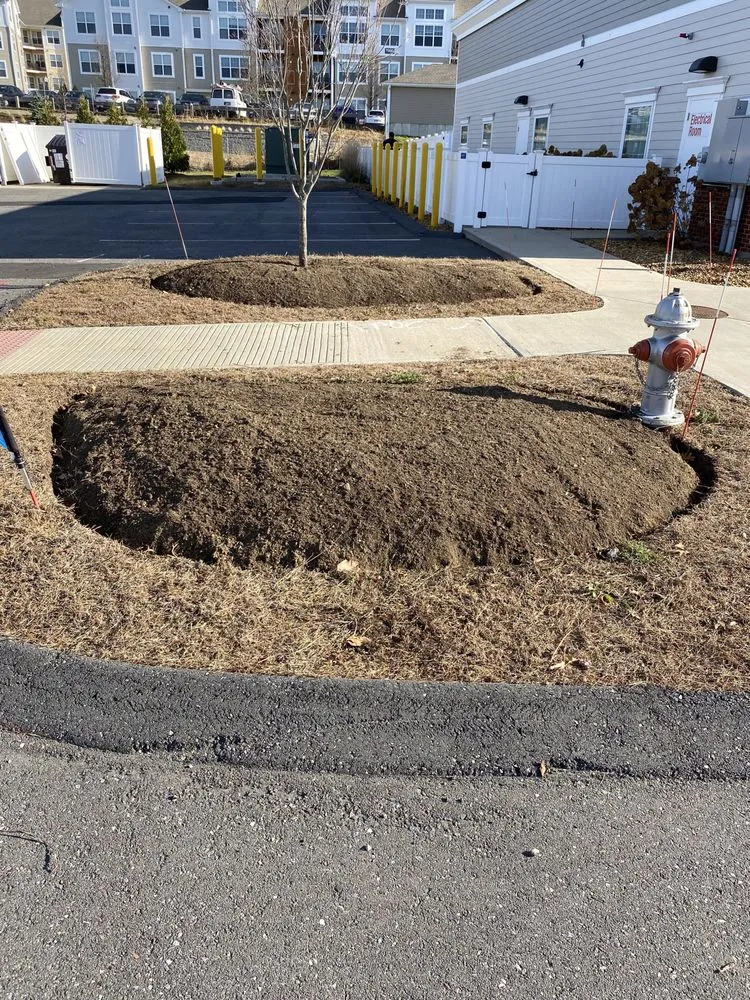 Local yard cleanup service for beautiful yards in Worcester, MA by ORV Landscaping