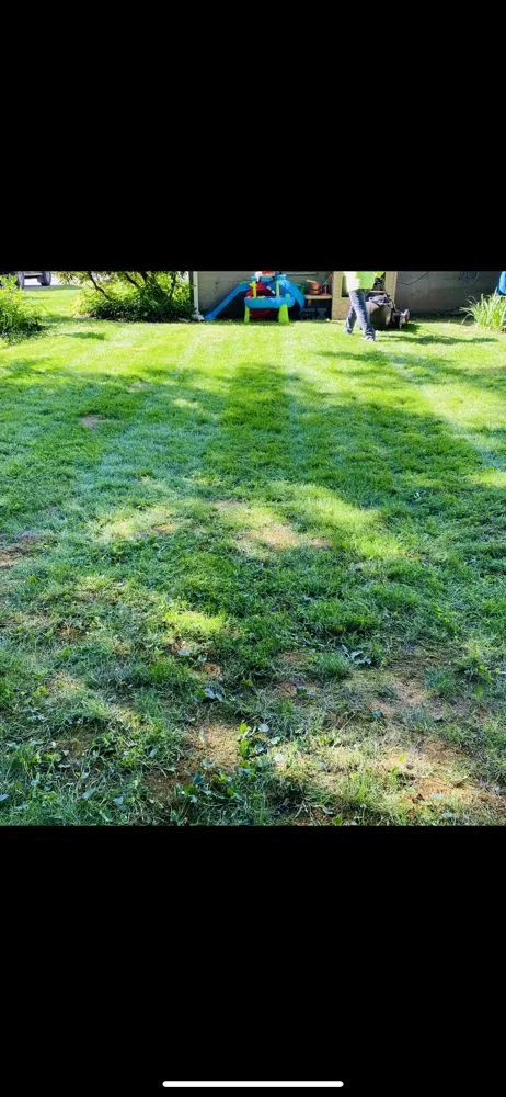 Affordable residential landscaping in Worcester, MA by ORV Landscaping