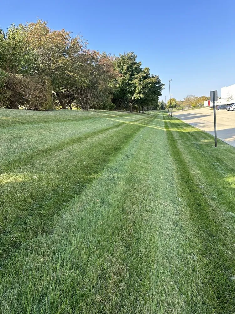 Custom residential landscaping for outdoor upgrades across Chicago, IL - ORZ Landscaping