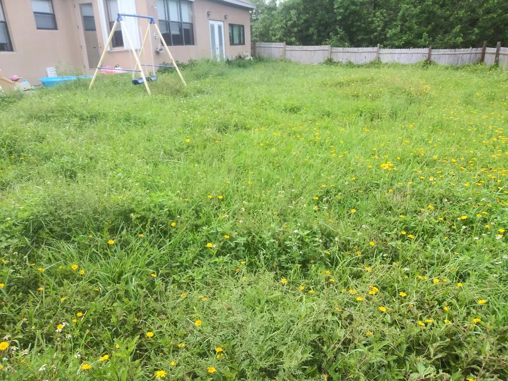 Local garden landscaping in Cocoa, FL by ORZ Lawn Care