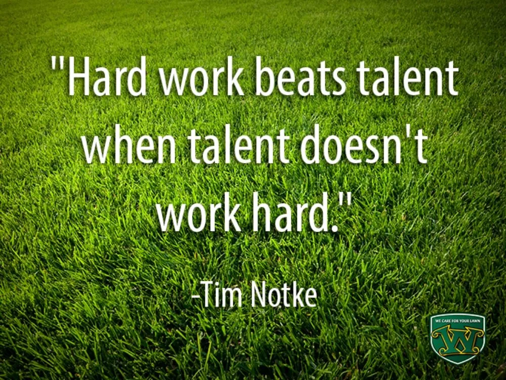 Reliable landscaping services near you in Panama, OK by Orzol Lawncare