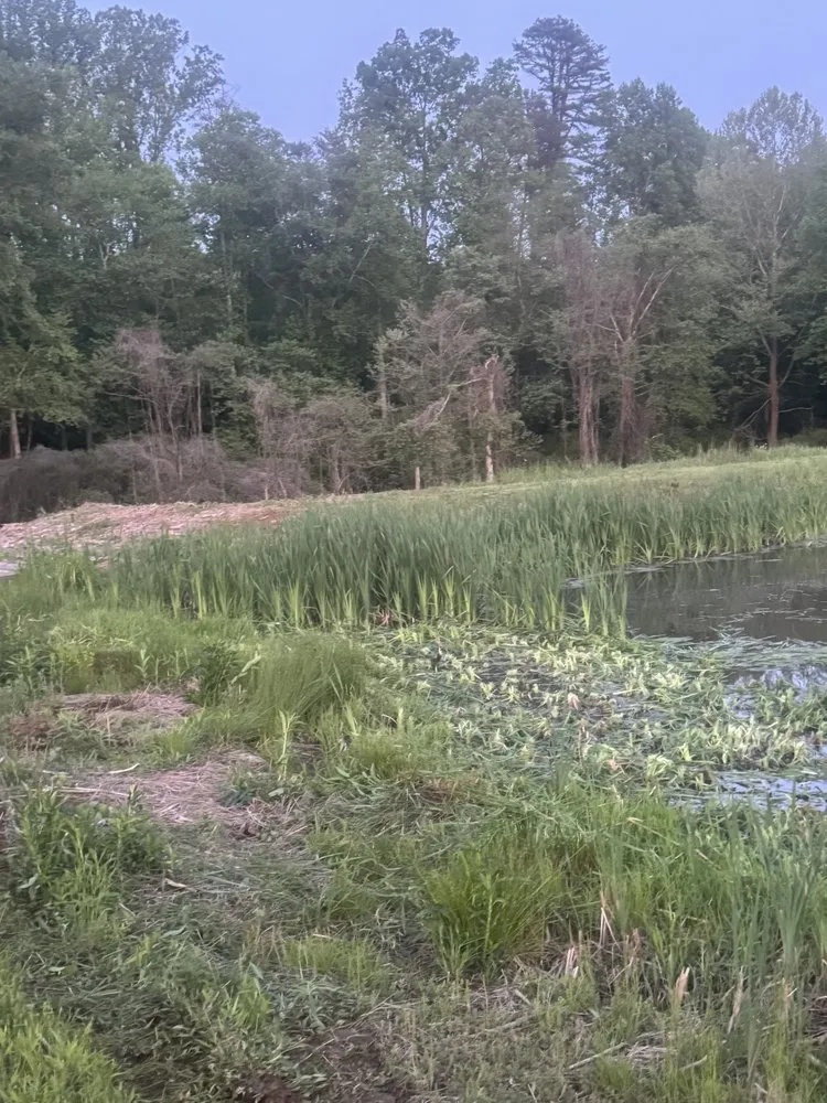 Trusted yard maintenance experts serving Mount Airy, NC - O&S Land management