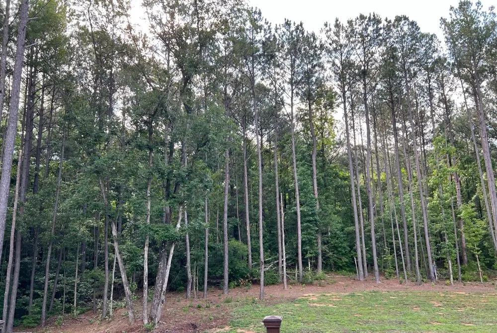 Trusted landscape installation for year-round maintenance in Atlanta, GA by O&S Tree Services